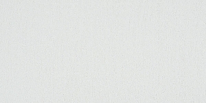 Pale Raw Umber 111L