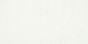 Pale Yellow089 L