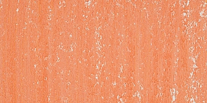 Salmon 095