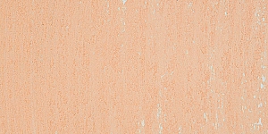 Salmon 095L