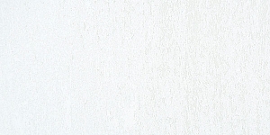 Titanium White010