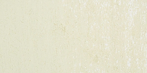 Yellow Gray079 D