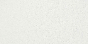 Yellow Gray079 L