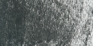 Phthalo Green 142