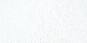 Titanium White 128