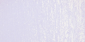 Bluish Violet M