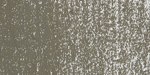 Greenish Gray 1 B