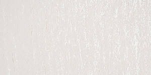 Neutral Gray N
