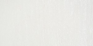 Neutral Gray O