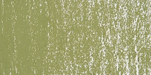 Olive Green 1 B