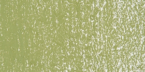 Olive Green 1 D