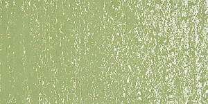 Olive Green 1 H