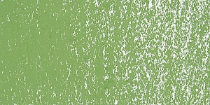 Olive Green 2 D