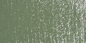 Verona Green D