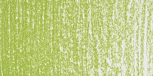 Australian Leaf Green Light 580T