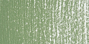 Green Gray 574P