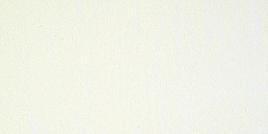 Lemon Yellow 502X