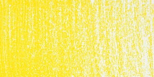 Spectrum Yellow 504P