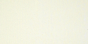 Spectrum Yellow 504X