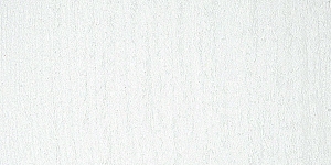 Titanium White 500P