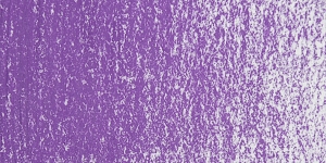 Purple Violet