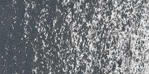 Charcoal