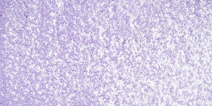 Cobalt Violet Light