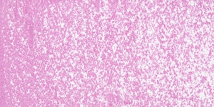 Cobalt Violet Light Hue