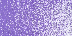 Parma Violet