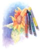 Staedtler Karat Aquarell Crayons