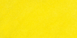 Hot Cool Yellow