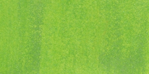 Macaw Green