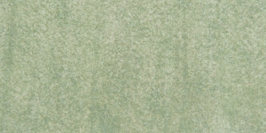 Silver Moss