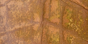 Brushed Corduroy