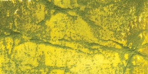 Crushed Olive