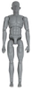 Male Model, Front