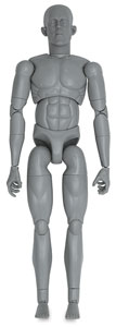Male Model, Front