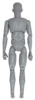 Male Model, Back