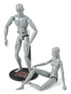Art S. Buck Anatomical Models