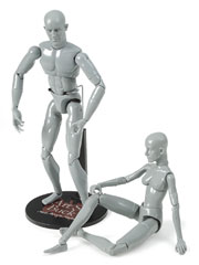 Art S. Buck Anatomical Models