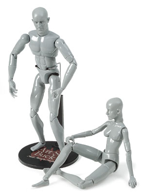 Anatomical Models, Gray