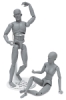 Anatomical Models, Gray