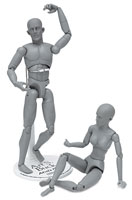 Art S. Buck Anatomical Models