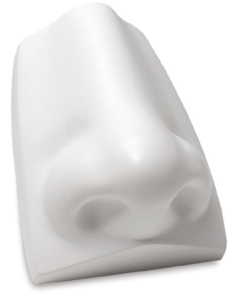 Nose