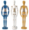 Martin Universal Design Flexible Male Manikins