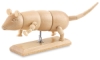 Mouse Manikin