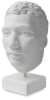 Facial Feature Model,  South America/Columbia