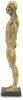 Anatomical Figure, Side View
