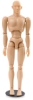Male Manikin