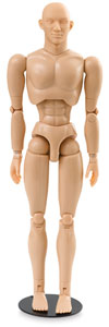 Male Manikin